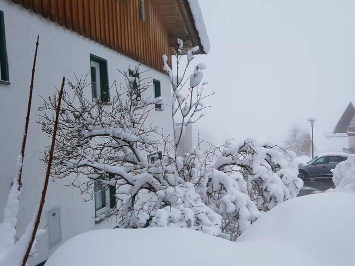 Ferienhaus für 8 Personen, mit Garten und Terrasse in Kirchberg im Wald - 3