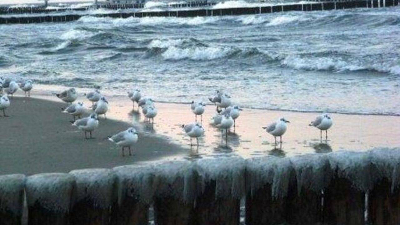 Ferienwohnung in Usedom ab 162€ pro Nacht