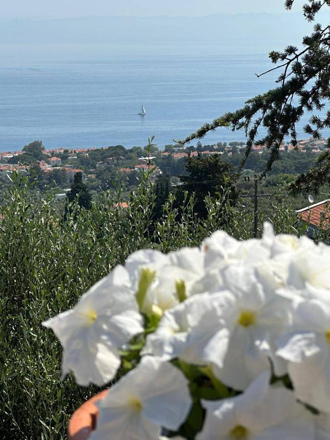 Deluxe Villa in North Aegean Islands