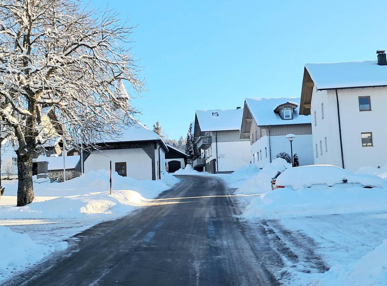 Haus Probst - Ruhige Ferienwohnung mit Ausblick auf die Berge in Bischofsmais, Ostbayern