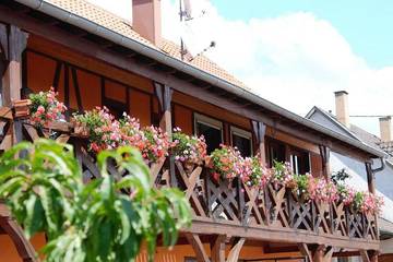 Chambre d’hôte pour 2 personnes, avec jardin et vue à Dambach-la-Ville