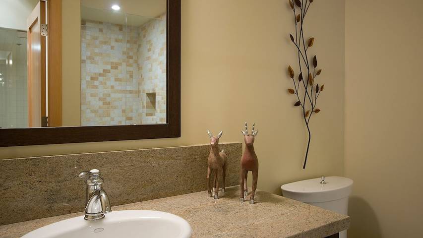 Glamping for 8 people, with balcony and garden as well as hot tub, with pets in Whistler