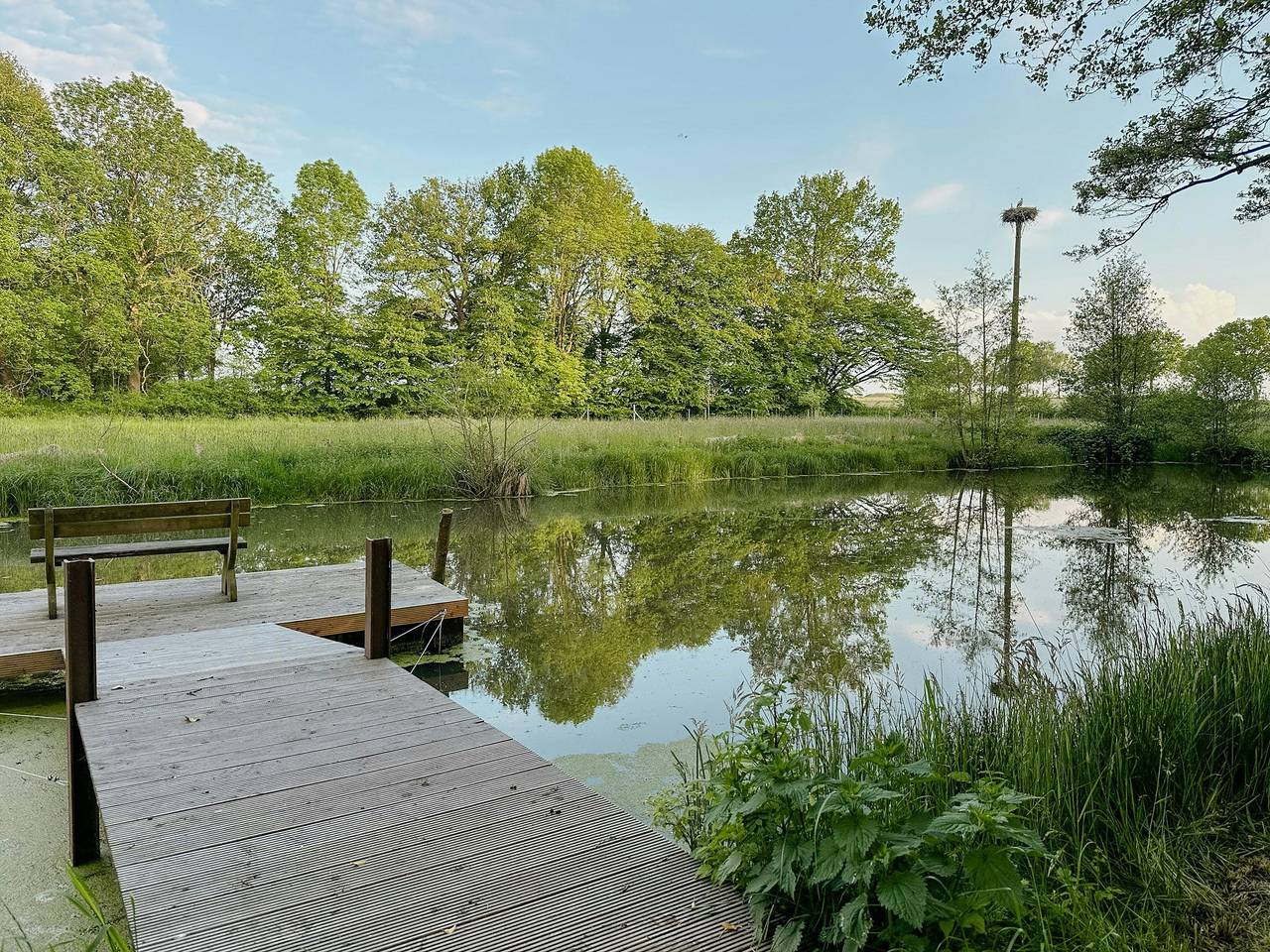Modernes Tiny House mit eigenem Zugang zum See in Walsrode, Aller-Leine-Tal