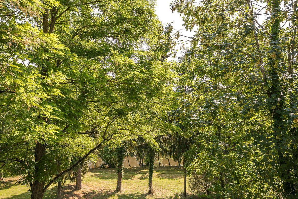 Château pour 24 personnes avec jardin in Ingrandes, Région de Le Blanc