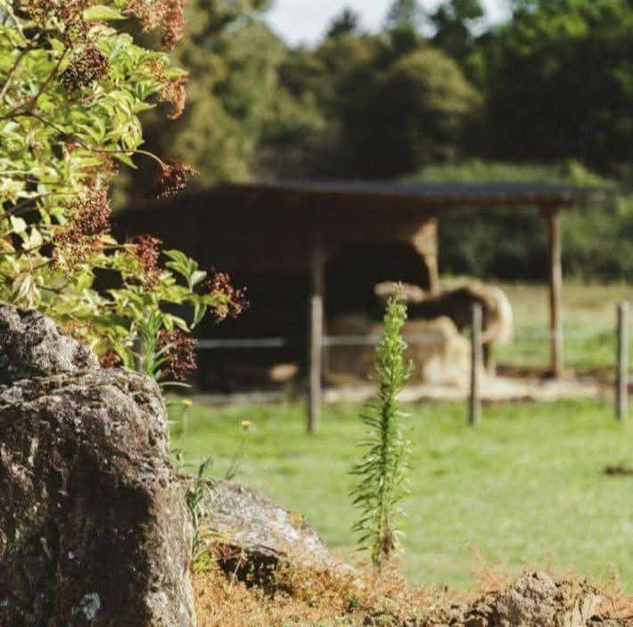 Location de vacances pour 7 personnes, avec terrasse dans Bagneux (Indre)