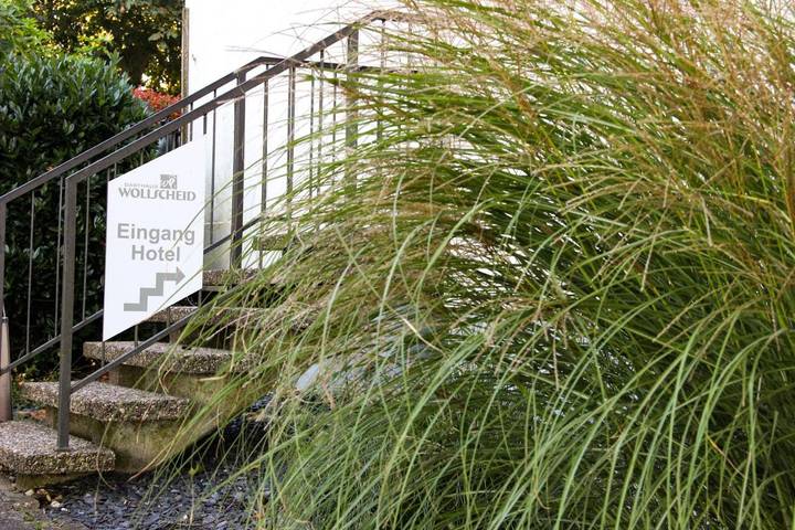 Maison d’hôte pour 2 personnes, avec jardin ainsi que terrasse et vue à Trèves - 3