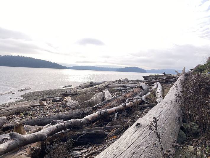 Vacation house for 6 people, with yard and balcony in Washington