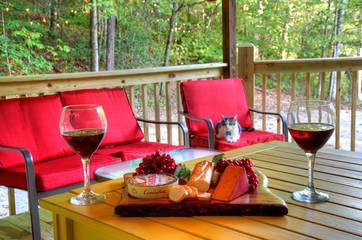 Vacation House for 4 Guests in Blue Ridge Mountains, Fontana Lake, Picture 4