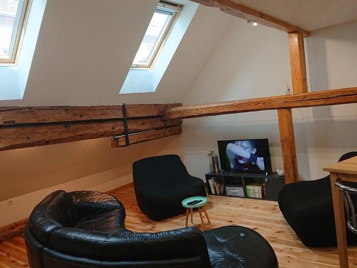 Gîte pour 12 personnes dans Cinema Le Rex Villard De Lans - 3