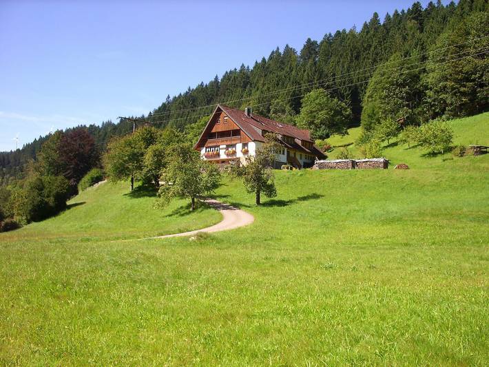 Ganze Wohnung, Ferienwohnung 3 Im Bauernhaus" mit gemeinsamer Terrasse, Gemeinschaftsgarten und Wlan in Bad Rippoldsau-Schapbach, Wolftal Region