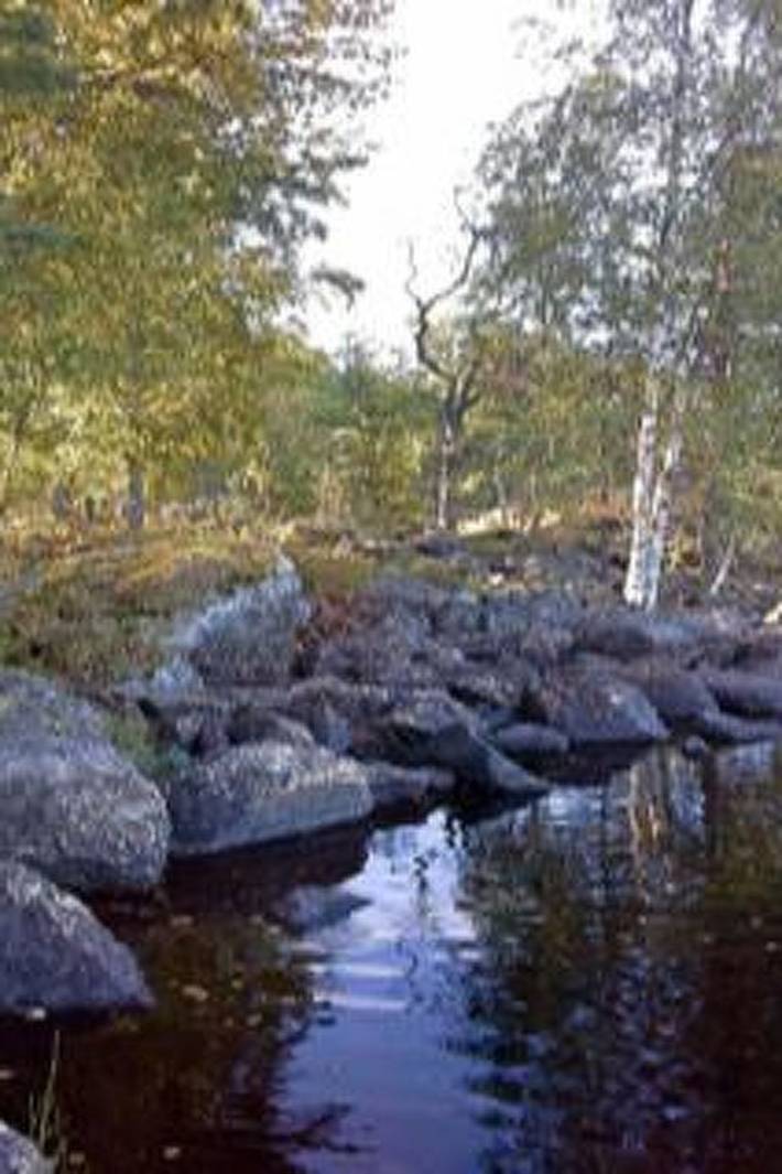 Louhiranta in Mehtiö, Nord-Savo
