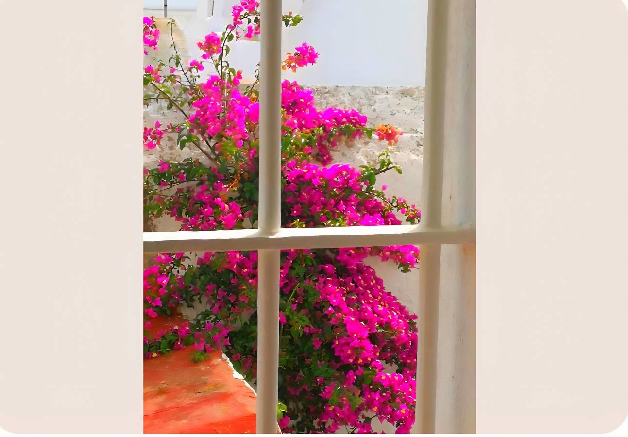 Ganzes Studio, Estudio Portón 2 – Direkt am Strand, Conil in Conil de la Frontera, Costa de la Luz