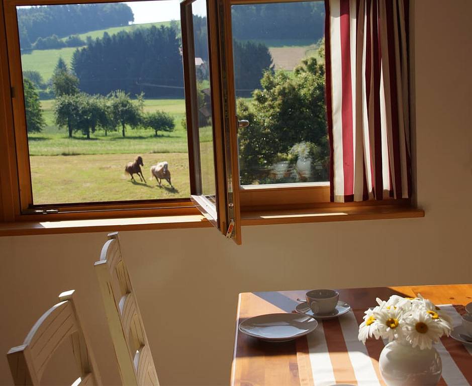 Panoramablick Höllbachtal - Fewo mit Kaminofen, vollausgestatteter Küche und Badewanne in Ostbayern