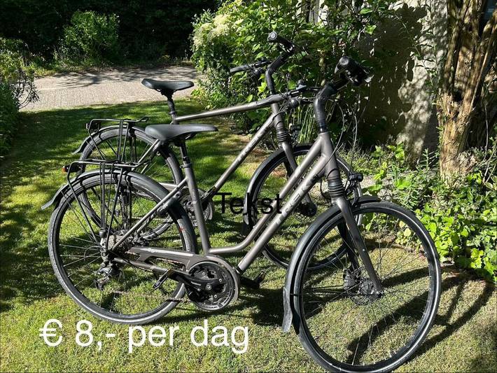 Chambre d’hôte pour 2 personnes, avec terrasse et jardin à Middelbourg - 2