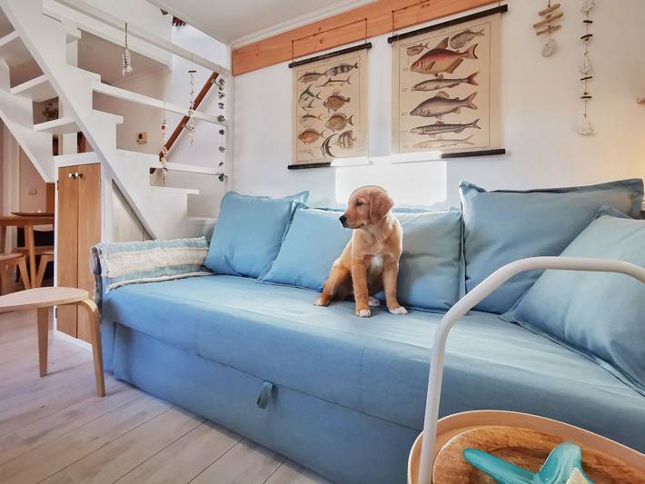 Ferienhaus für 4 Personen, mit Terrasse und Garten in Noordwijk - 3