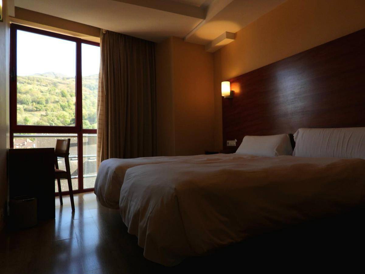 Double or Twin Room in Pola de Lena, Lena