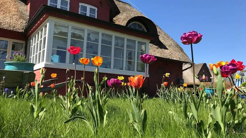Ferienwohnung für 2 Personen auf Amrum
