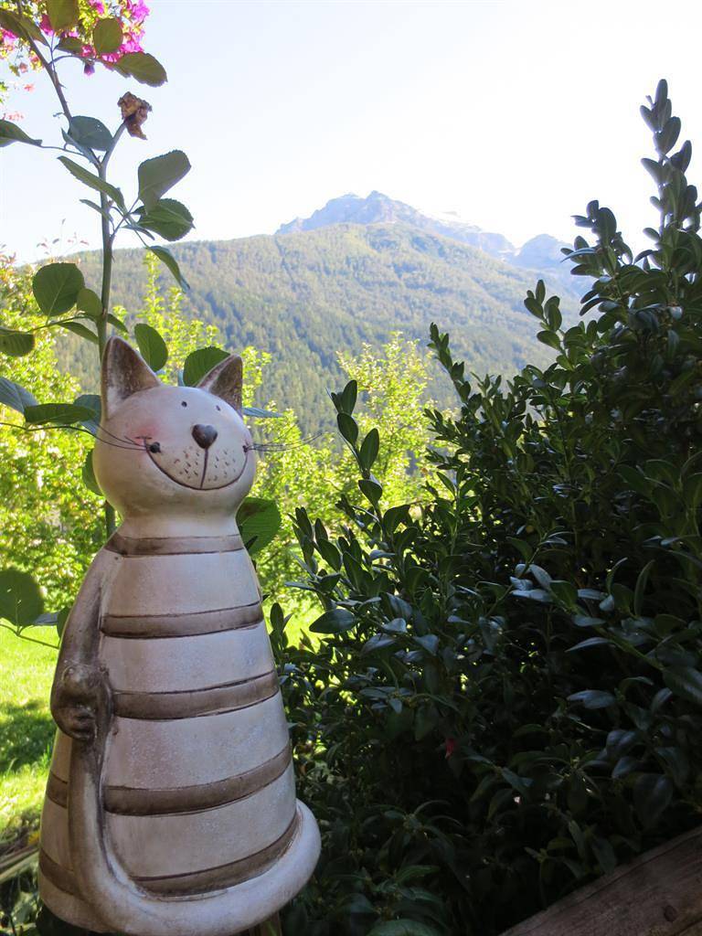 Appartement Morgensonne in Fulpmes, Innsbruck und Umgebung