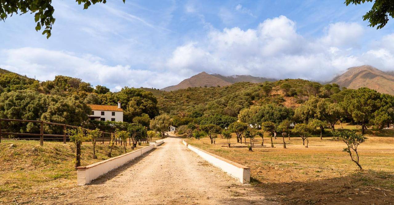 Four-Bedroom House in Sierra (Casares), Casares