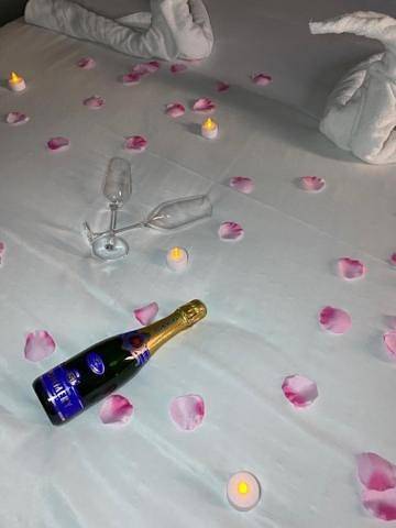 Hôtel pour 2 personnes, avec terrasse dans Seine-et-Marne - 4