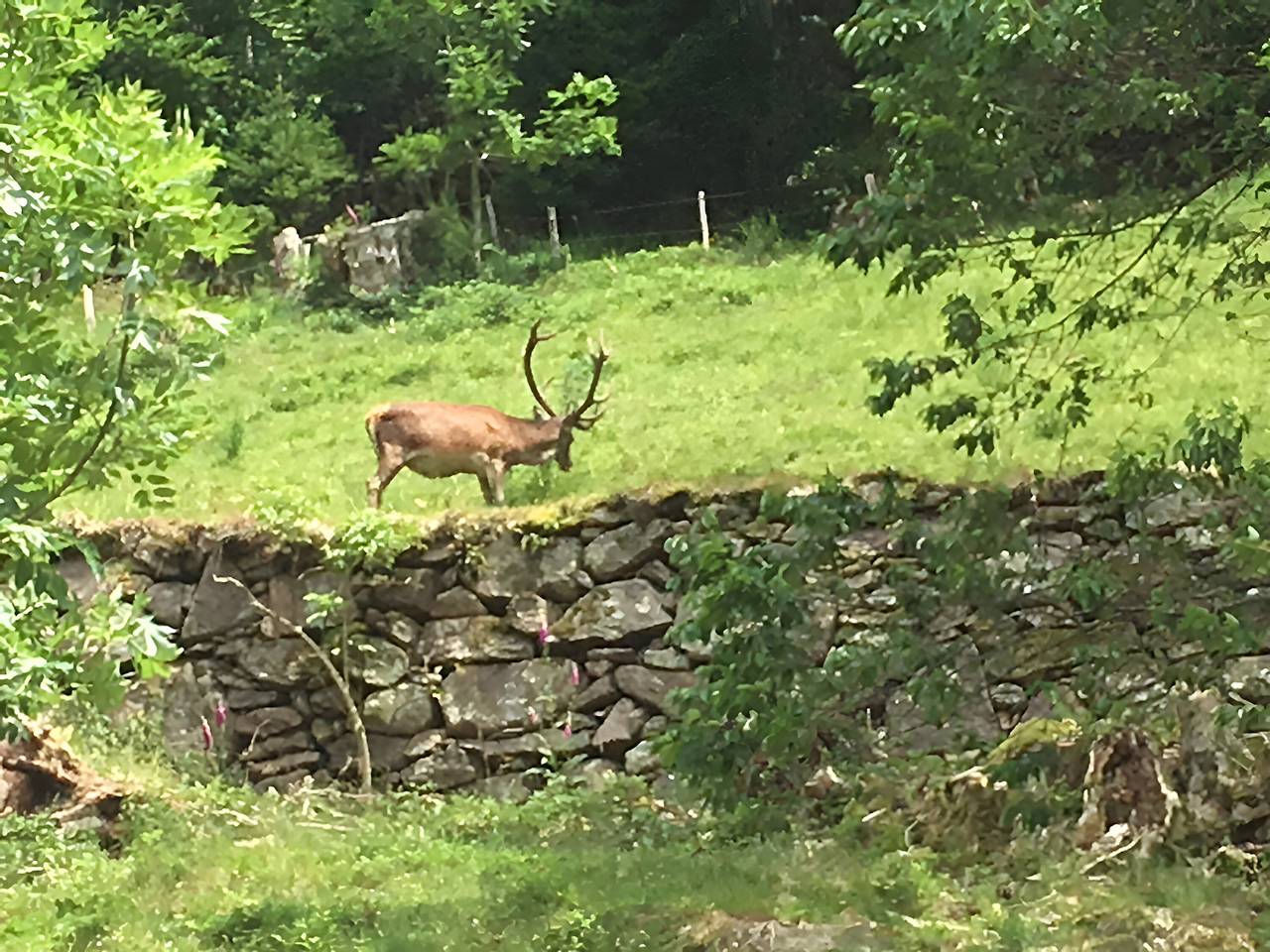 Gîte aux deux Ruisseaux in Le Bonhomme, Parc naturel régional des Ballons des Vosges