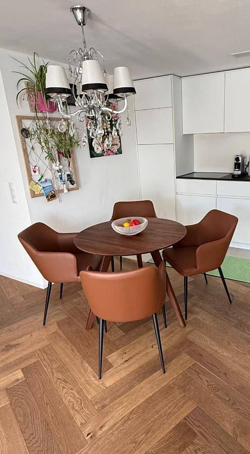 Ferienwohnung für 4 Personen, mit Balkon und Terrasse sowie Ausblick in Thun - 4