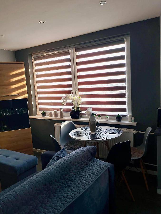 Cały apartament, Apartment Manhattan in Tarnowskie Góry, Śląsk