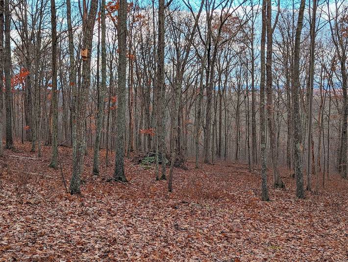 Chalet for 5 people, with terrace and yard in Pocono Mountains