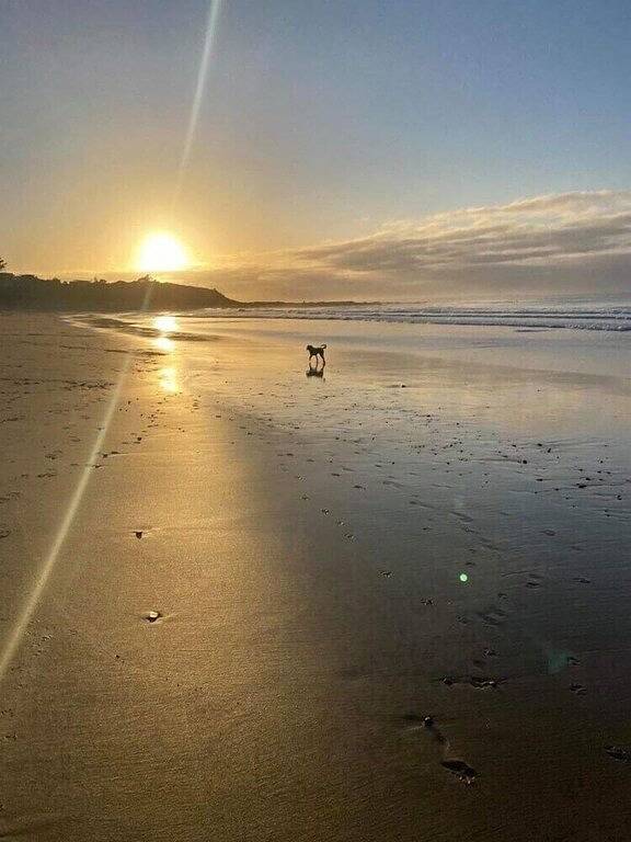 Uringa in Skenes Creek in Skenes Creek, Colac Otway Shire