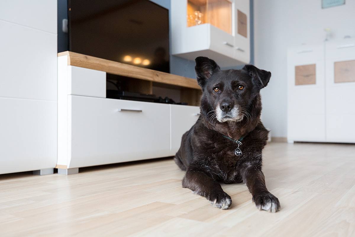 Ferienhaus Nr. 4, Kategorie Premium L, Feriendorf Hochbergle, Allgäu in Lechbruck am See, Bayerisch Schwaben