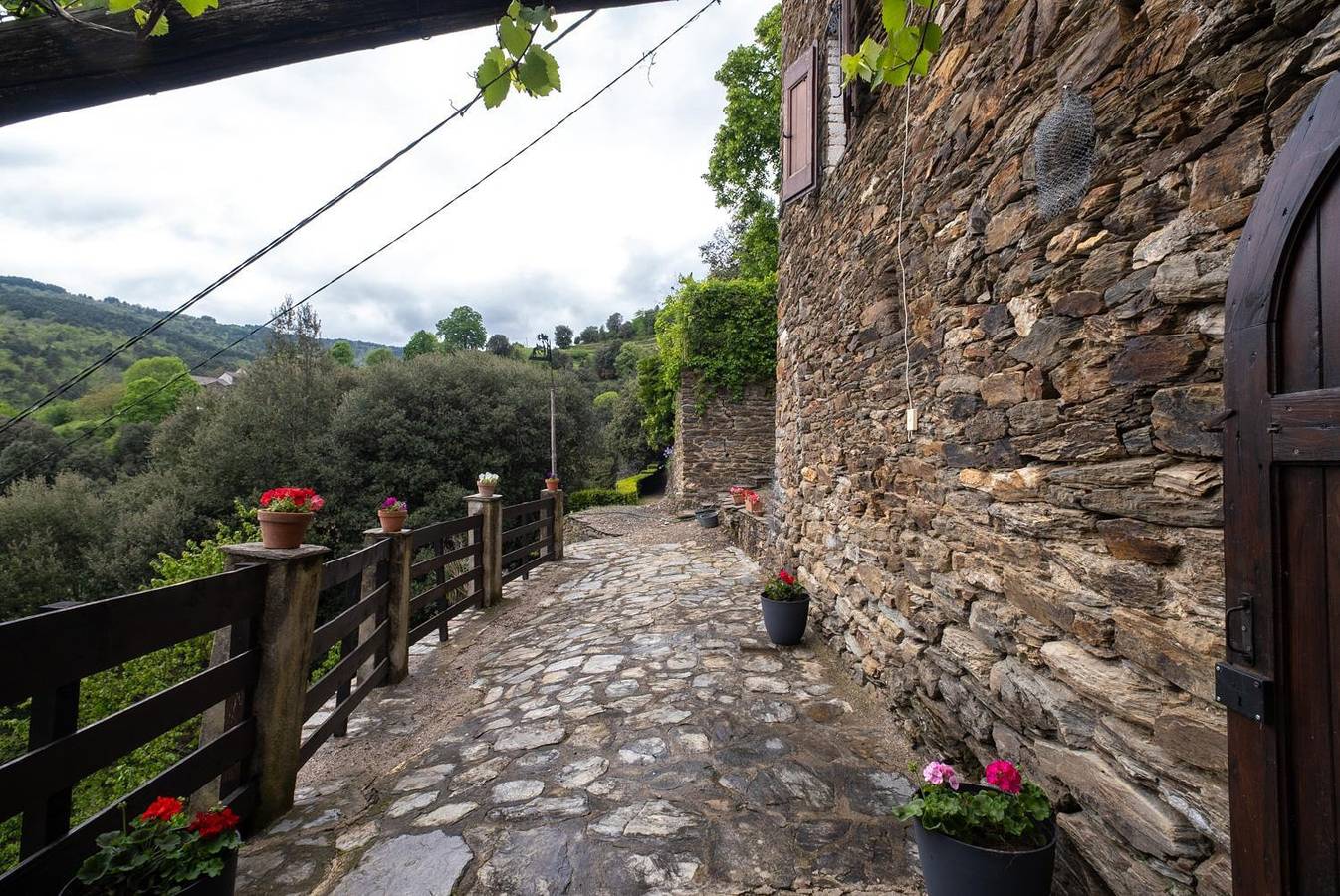La Treille à La Teissonnière in Saint-Hilaire-de-Lavit, Parc national des Cévennes