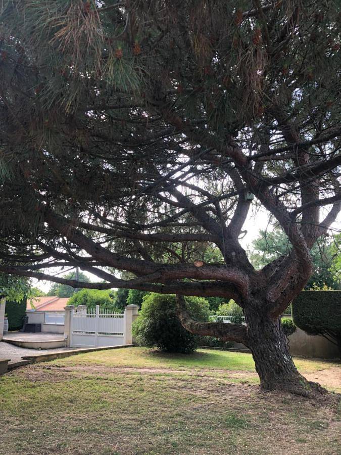 Location de vacances pour 8 personnes, avec Terrasse et Jardin ainsi que Piscine et Vue à Saint-Simeux - 2