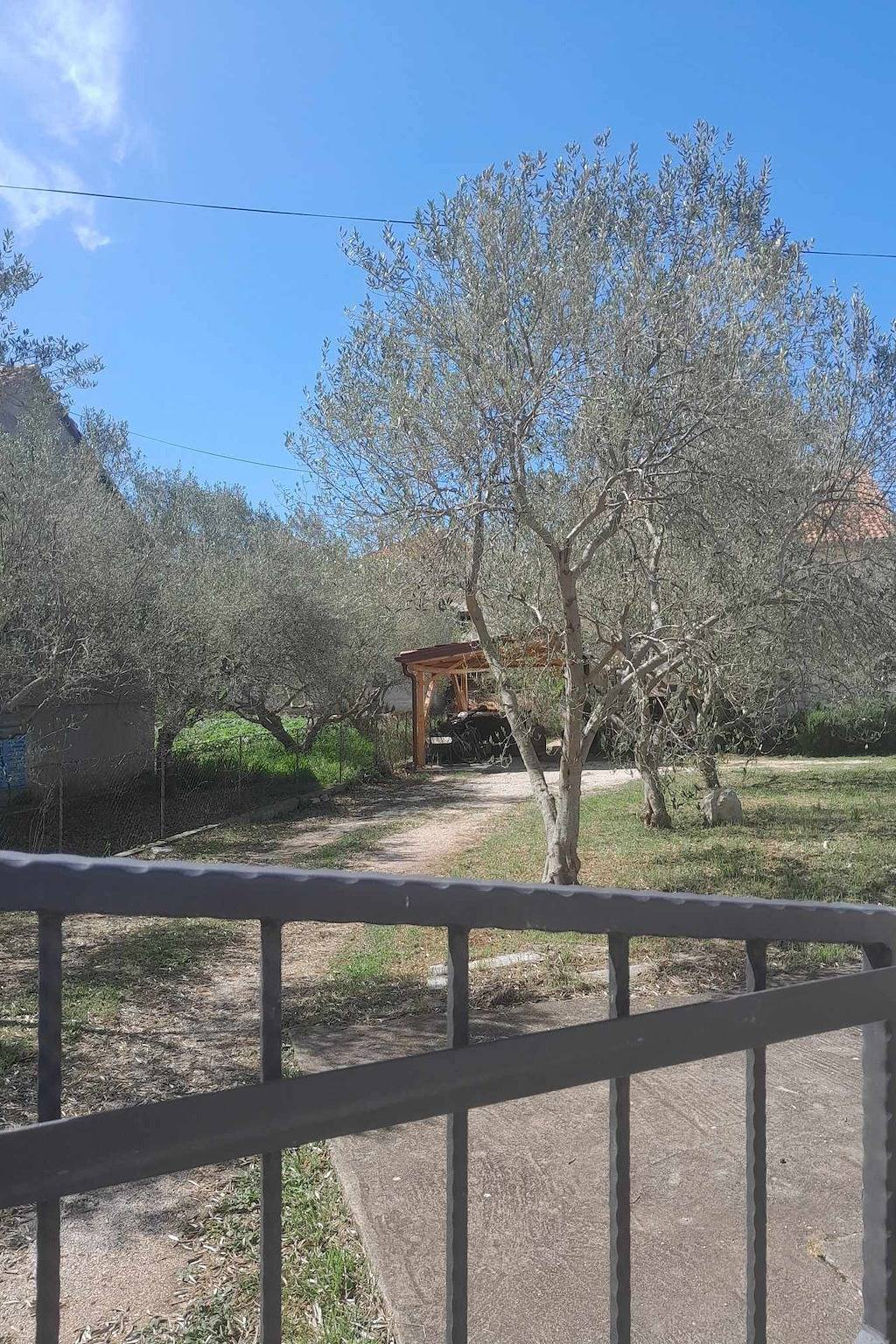 Entire apartment, One bedroom apartment with terrace and sea view Tkon, Pašman A-24280-a in Tkon, Pasman