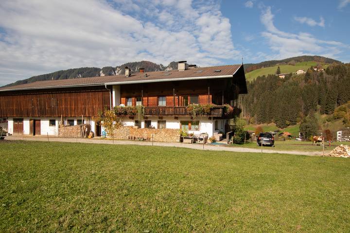 Appartement voor 4 personen, met Balkon in Wildschönau