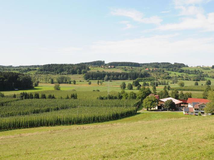 Ferienwohnung für 2 Personen, mit Garten und Pool in Oberschwaben