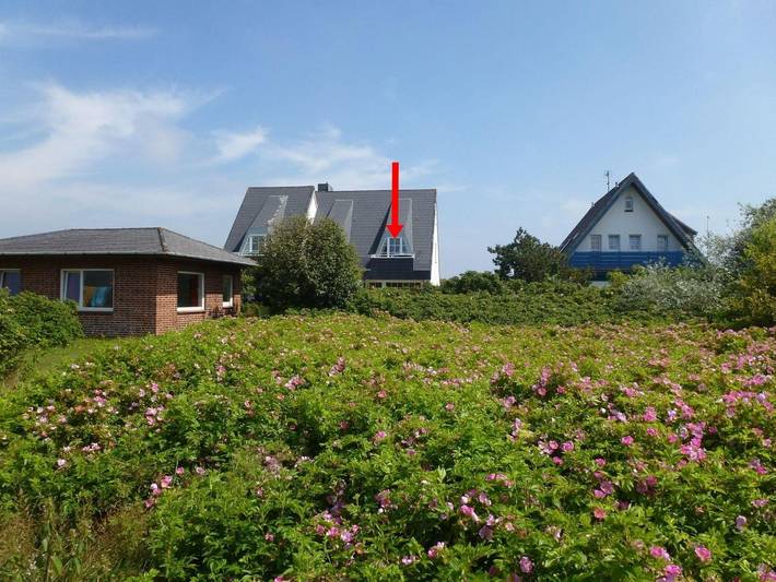 Ganze Wohnung, Schöne, strandnahe 2-Zimmer Ferienwohnung mit ca. 50 m², für bis zu 3 Personen in Nordfriesische Inseln (Schleswig-Holstein) (Schleswig-Holstein), Wenningstedt