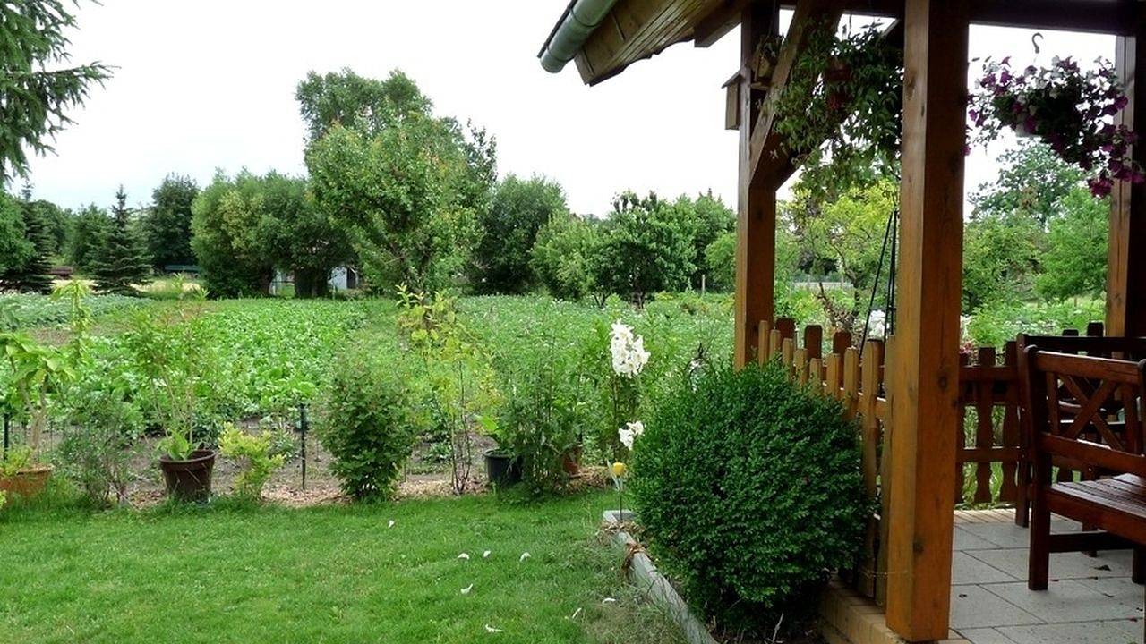 Ferienhaus für 5 Personen (20 m²) in Oberuckersee in Potzlow, Oberuckersee