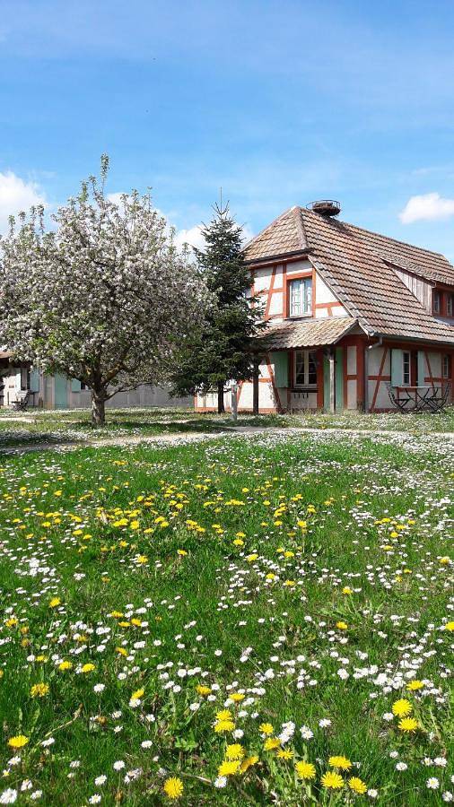 Hôtel pour 2 personnes, avec vue et jardin, animaux acceptés dans Ecomusée d'Alsace