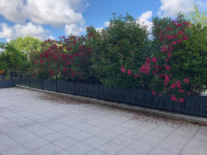 Gîte pour 4 personnes, avec terrasse dans Plage du Lac de Bordeaux - 2