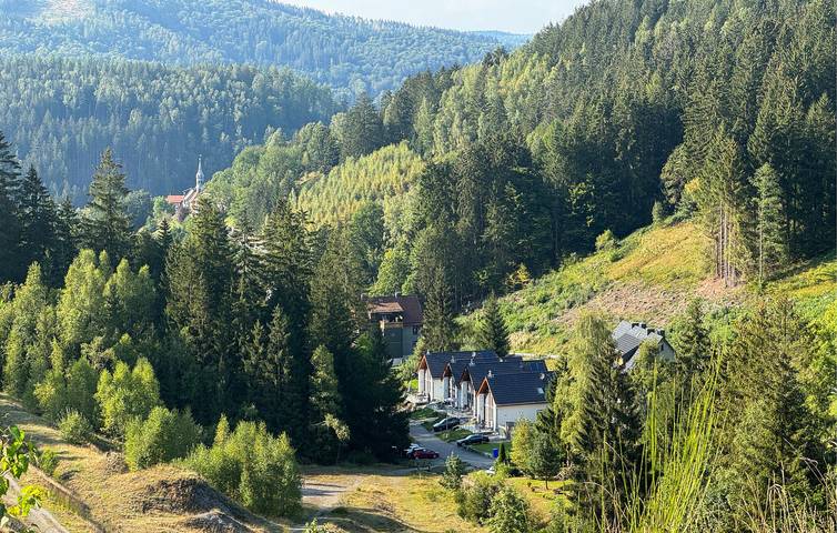 Ferienhaus für 7 Personen, mit Sauna und Garten sowie Terrasse, mit Haustier in Lautenthal - 3