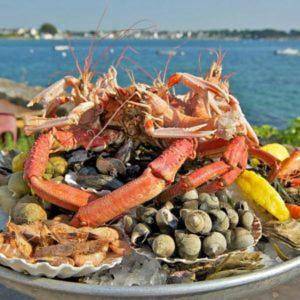 Maison d’hôte pour 6 personnes, avec jardin et vue, animaux acceptés à La Tremblade