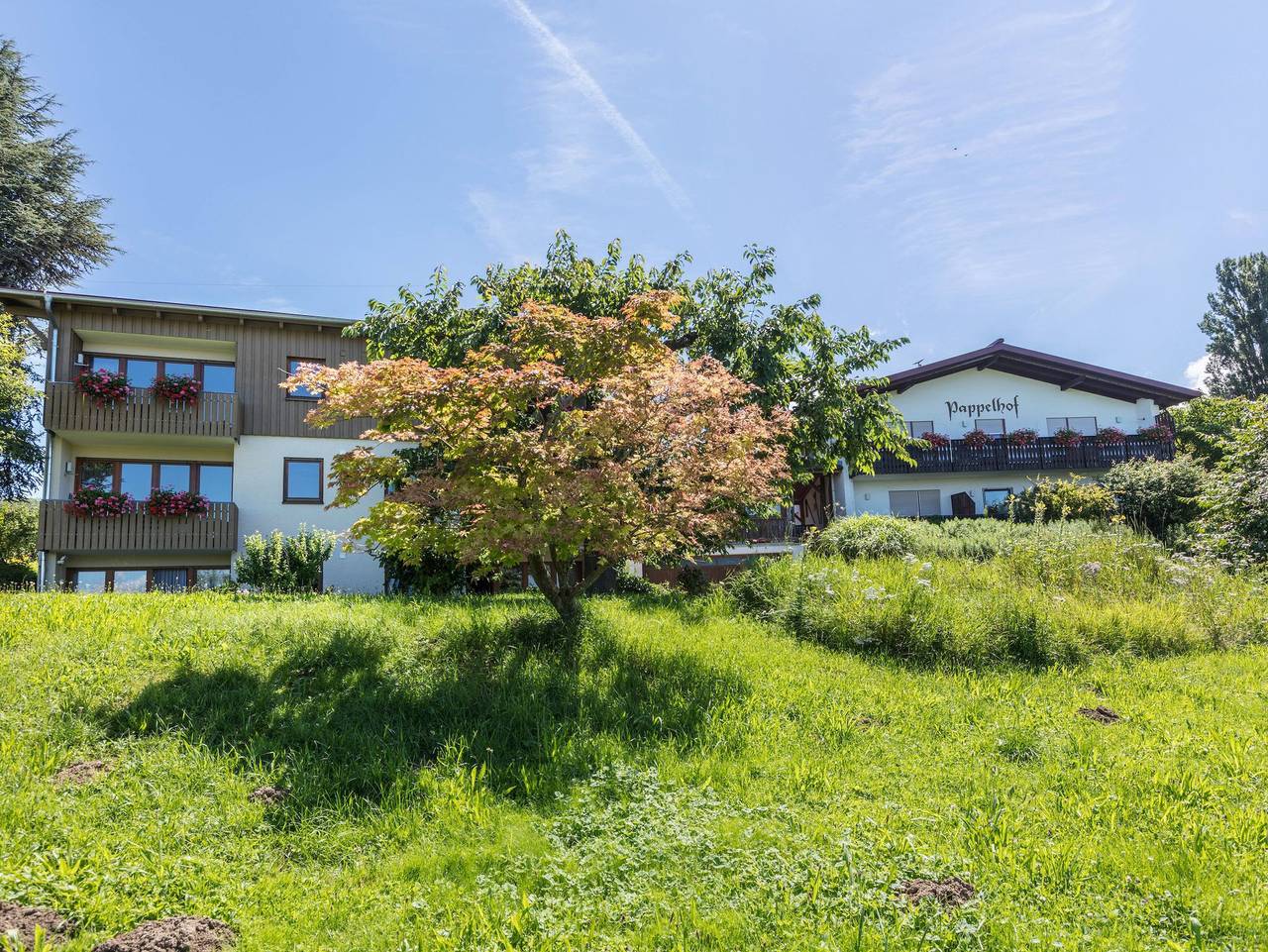 Ganze Ferienwohnung, Pappelhof - 2 Klares Rheinwässerle in Bad Bellingen, Südschwarzwald