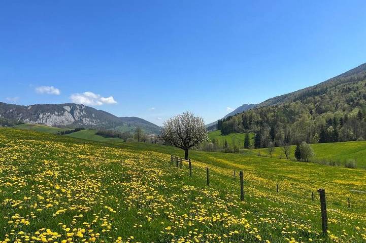 Agriturismo für 5 Personen, mit Sauna und Whirlpool sowie Garten - 1