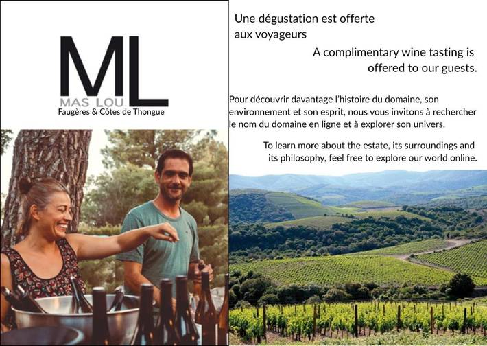 Location de vacances pour 12 personnes, avec vue ainsi que piscine et jardin à Faugères - 3