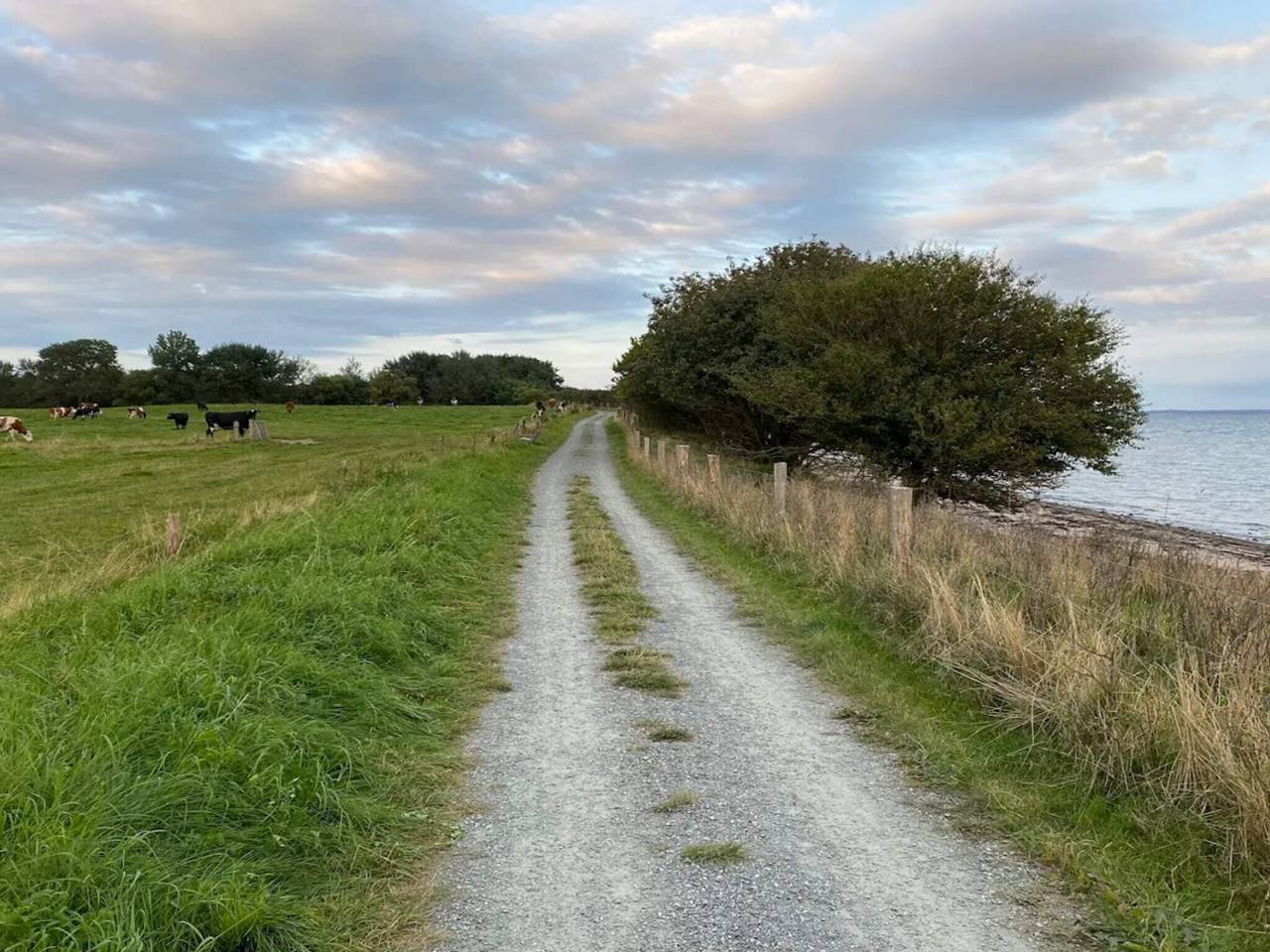 6 Personen Ferienhaus in Bjert-By Traum in Bjert, Kleiner Belt