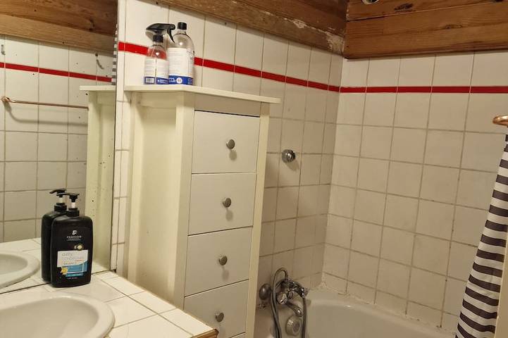 Gîte pour 3 personnes, animaux acceptés à Fontenay-sous-Bois - 3