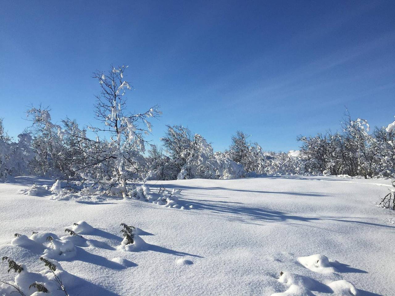 Ganze Wohnung, 4 Personen Ferienhaus in Geilo-By Traum in Geilo, Hol