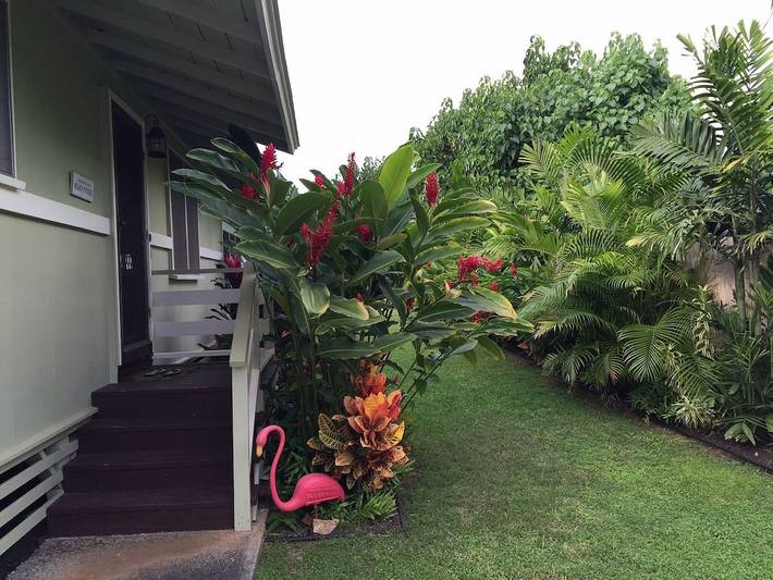 Vacation rental for 6 people, with yard in North Shore (Oahu)