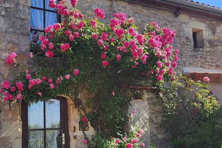 Gîte pour 4 personnes, avec jardin et piscine à Les Verchers-sur-Layon