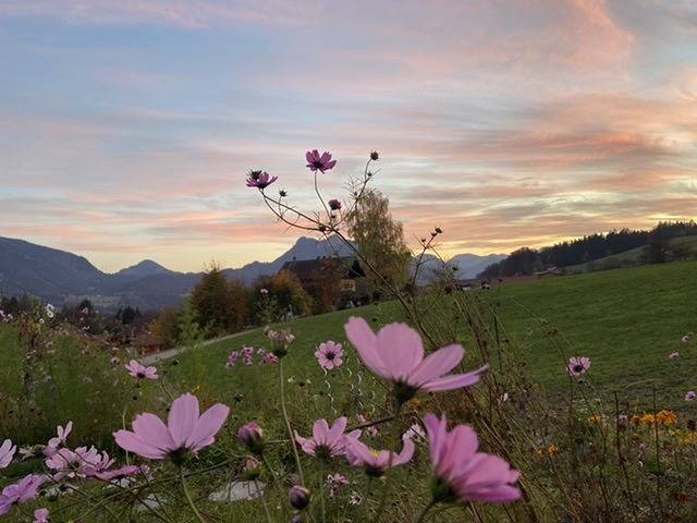 Guesthouse Paradies Samerberg - Ferienhaus mit Bergpanoramablick mit 1 Schlafzimmer in Samerberg, Bayerische Alpen